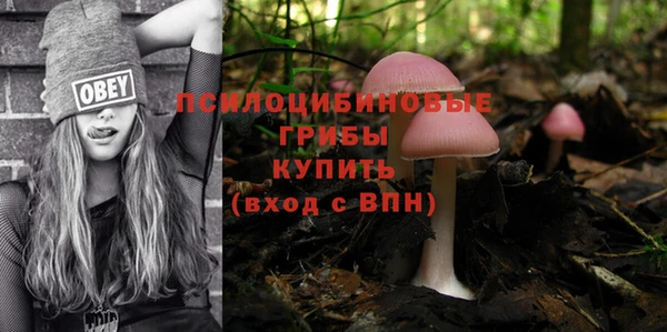 винт Инсар