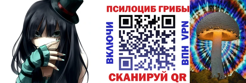 Купить  Каменка  Псилоцибиновые грибы Magic Shrooms 